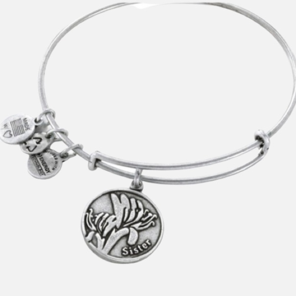 Alex and Ani Silver Bangle Sister Charm bracelet - Picture 1 of 14